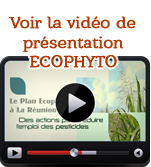 Video-player-icon