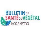 Logo du bulettin de Veille Sanitaire